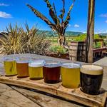 Berryessa Brewing Co.