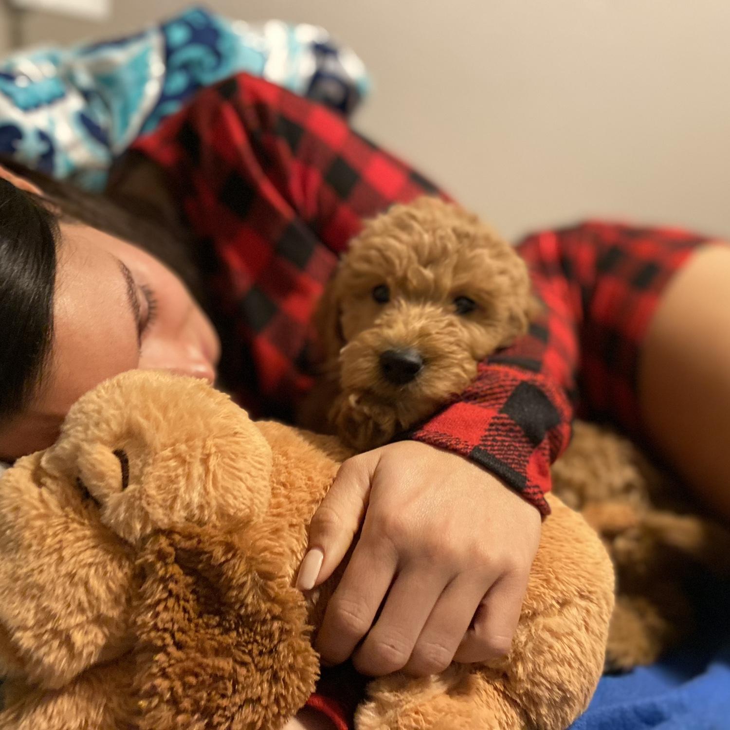 Our first night with Pretzel 🥨