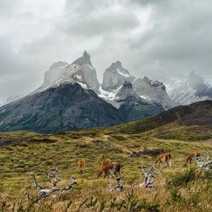 Honeymoon Backpacking