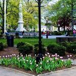 Morristown Green