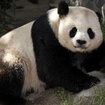 San Diego Zoo
