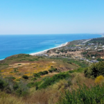Crystal Cove Trail