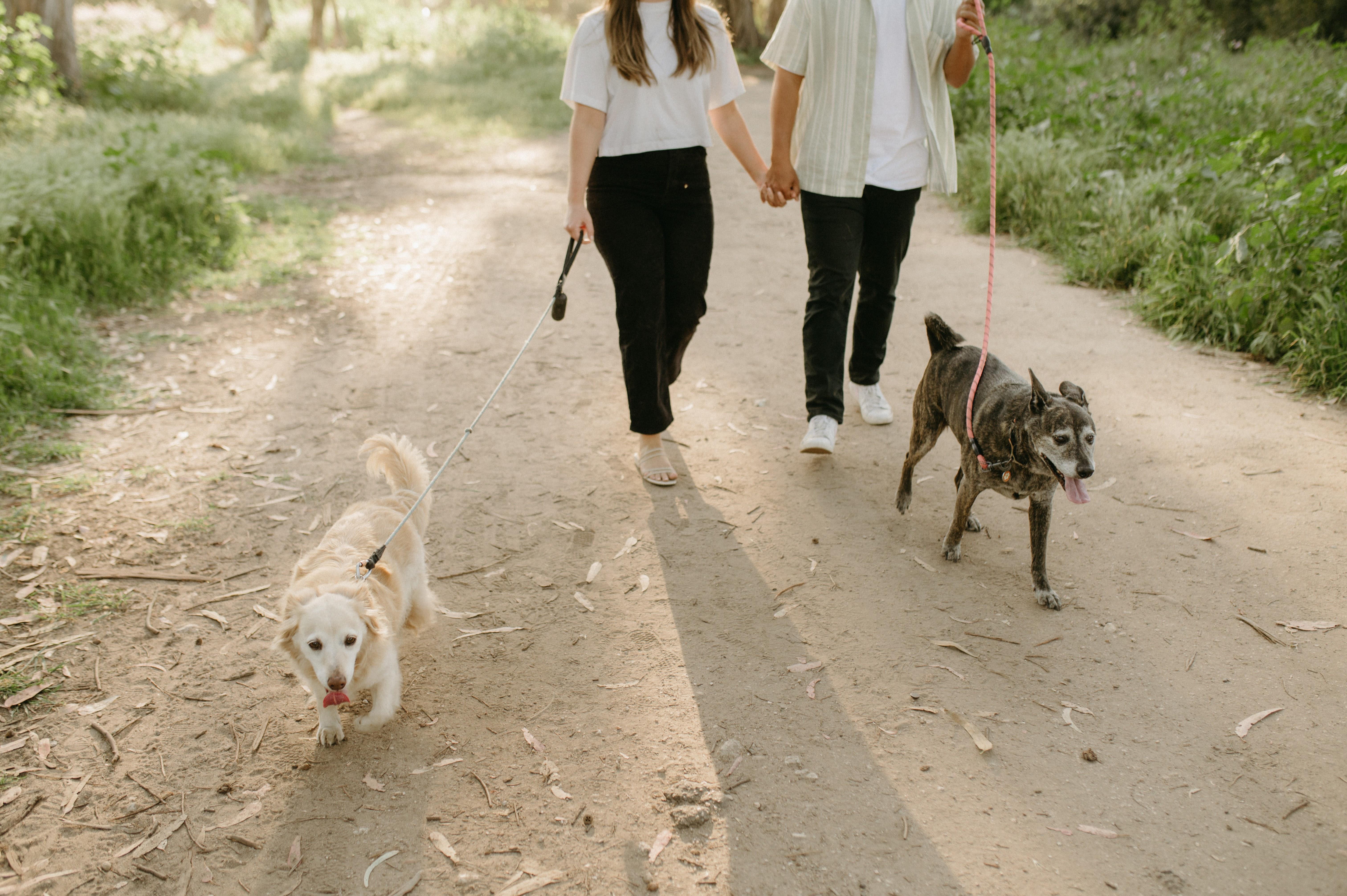 The Wedding Website of Casey Reinhardt and Ian Parson