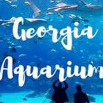 Georgia Aquarium