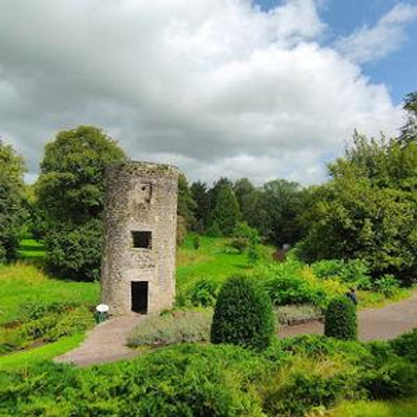 Honeymoon in Ireland!