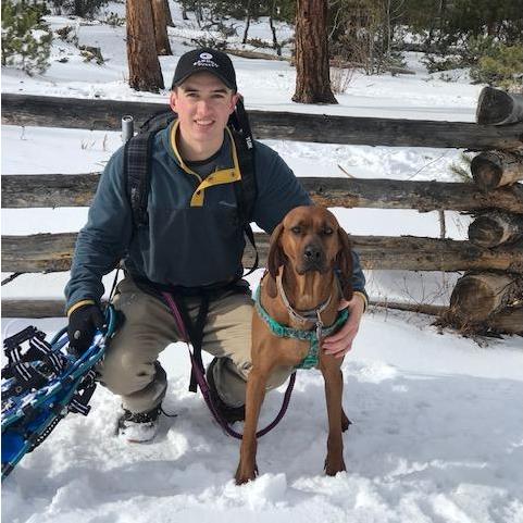 Snowshoe trip with the dogs