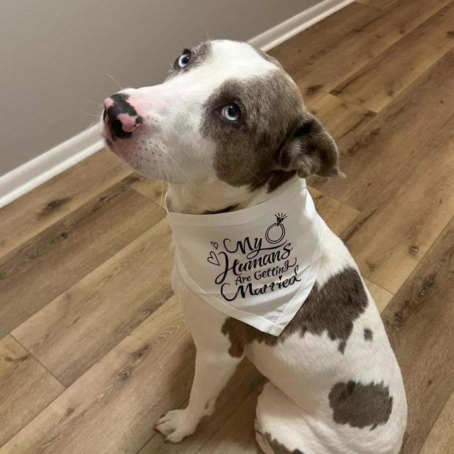 Cooper sharing the news of our engagement!