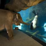 Oregon Zoo