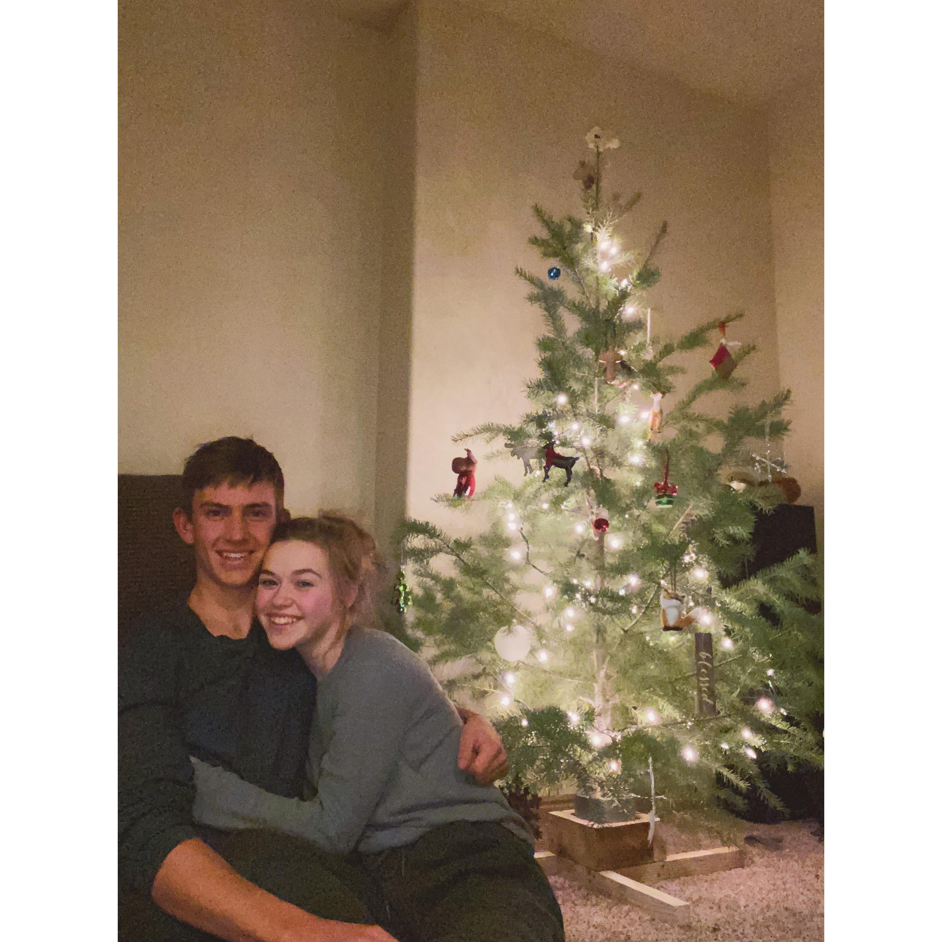 their first attempt at decorating their own Christmas tree