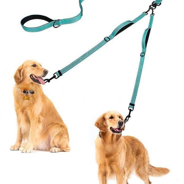 PetBonus Double Dog Leash, No Tangle Dual Dog Leash, Reflective Walking Training Leash, 4 Comfortable Padded Handles for 2 Dogs with Collapsible Bowl and Waste Bags (Turquoise, Large)