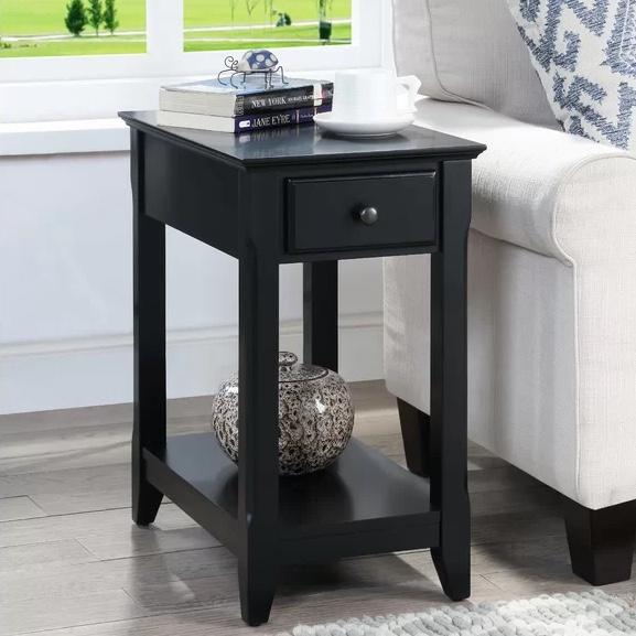 Bhairavi Transitional Wooden 23"H Rectangular End Table with Storage in Black