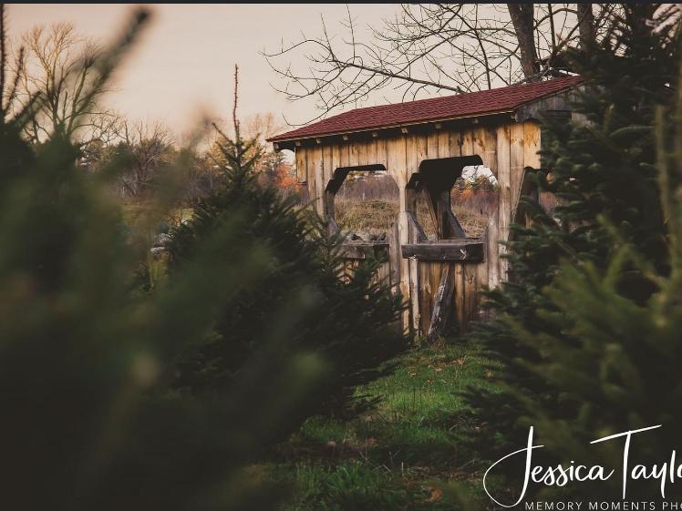 The Wedding Website of Haley Bassett and Ian Sprouse