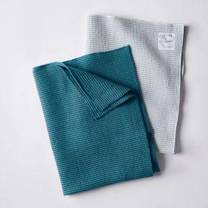 Peacock and Sky Dish Towels (Set of 2)
