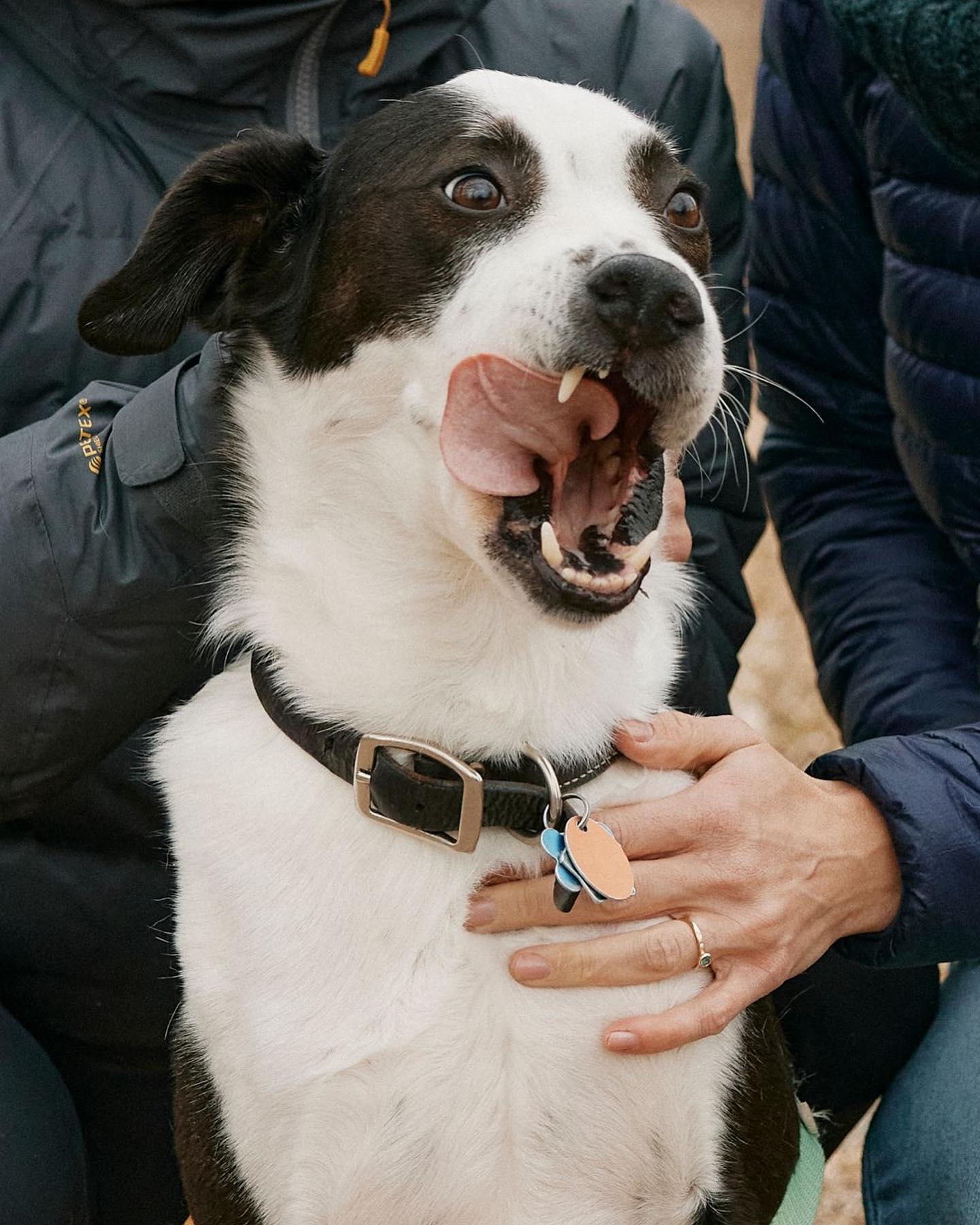 The Wedding Website of Lydia Tanner and Brandon Camarda