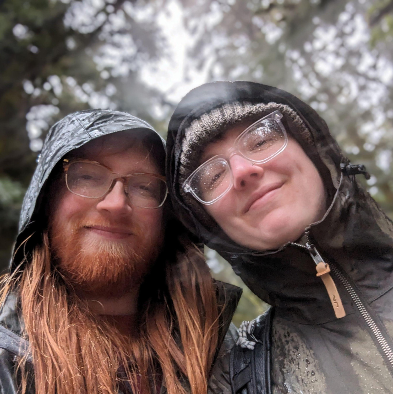 Just after she said yes, we learned why the Redwood National Forrest is called a rainforest