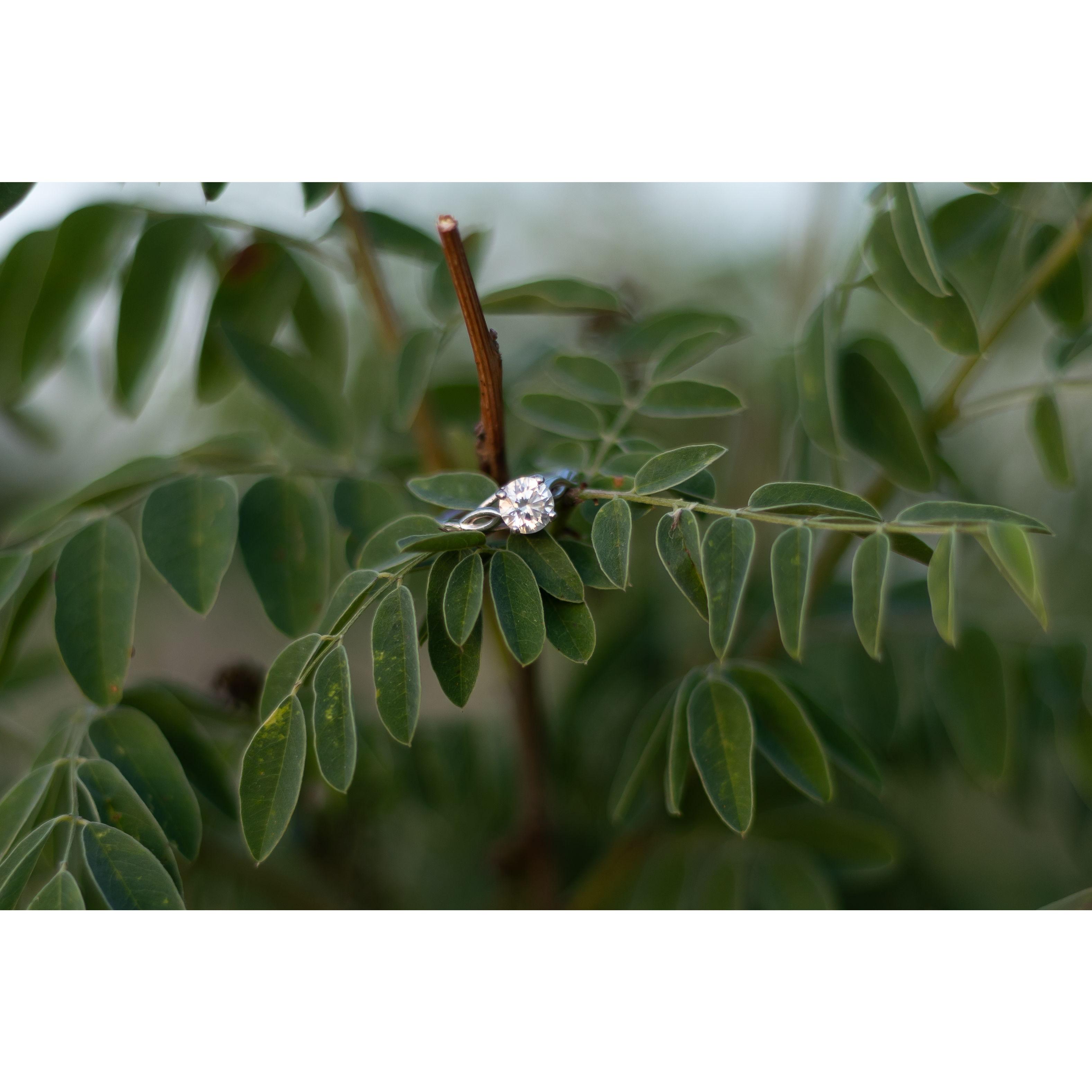 The engagement ring