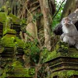 Ubud