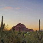 Desert Botanical Garden
