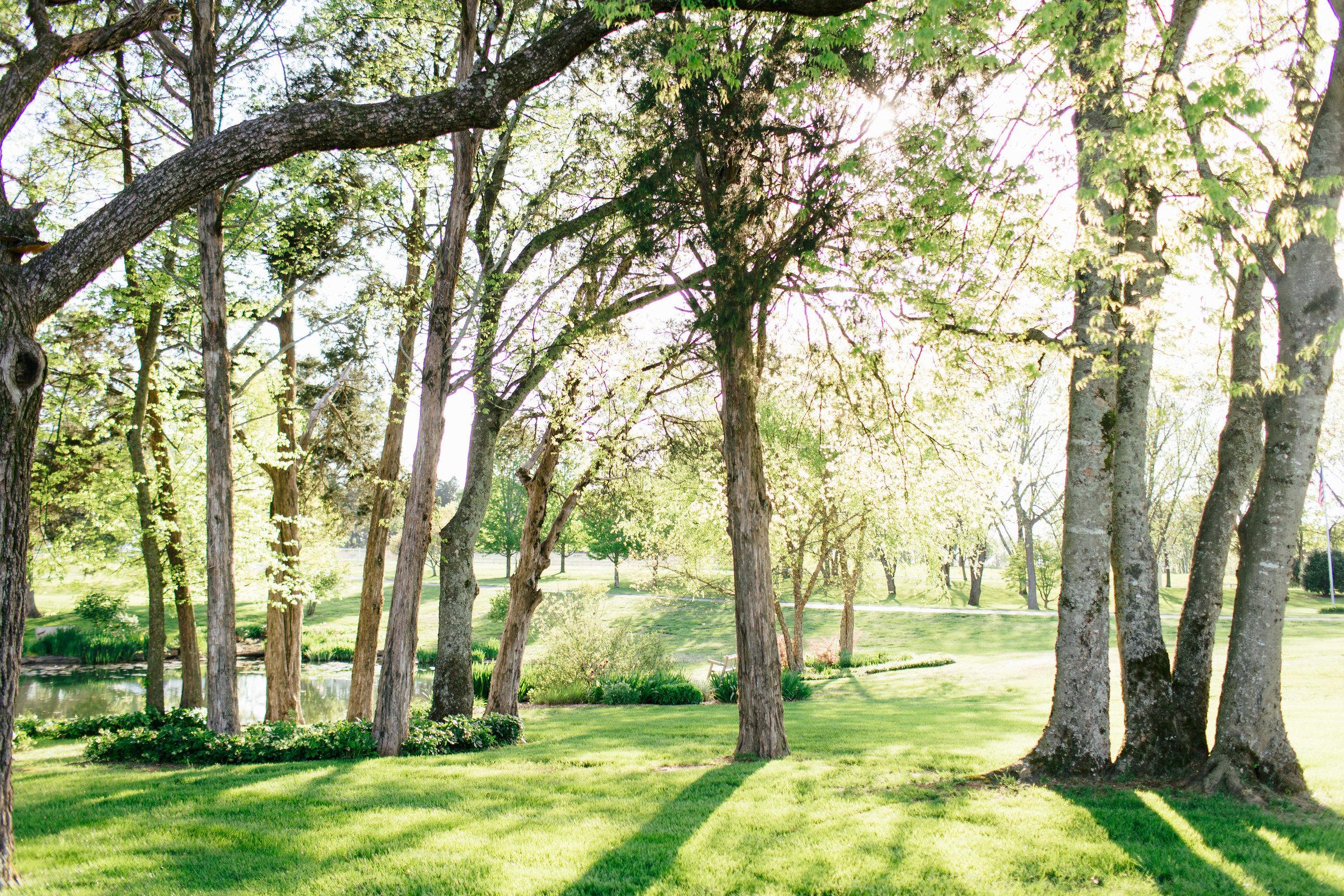 The Wedding Website of Maleah Phillips and Wesley Bain III