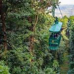 Rainforest Adventures St. Lucia