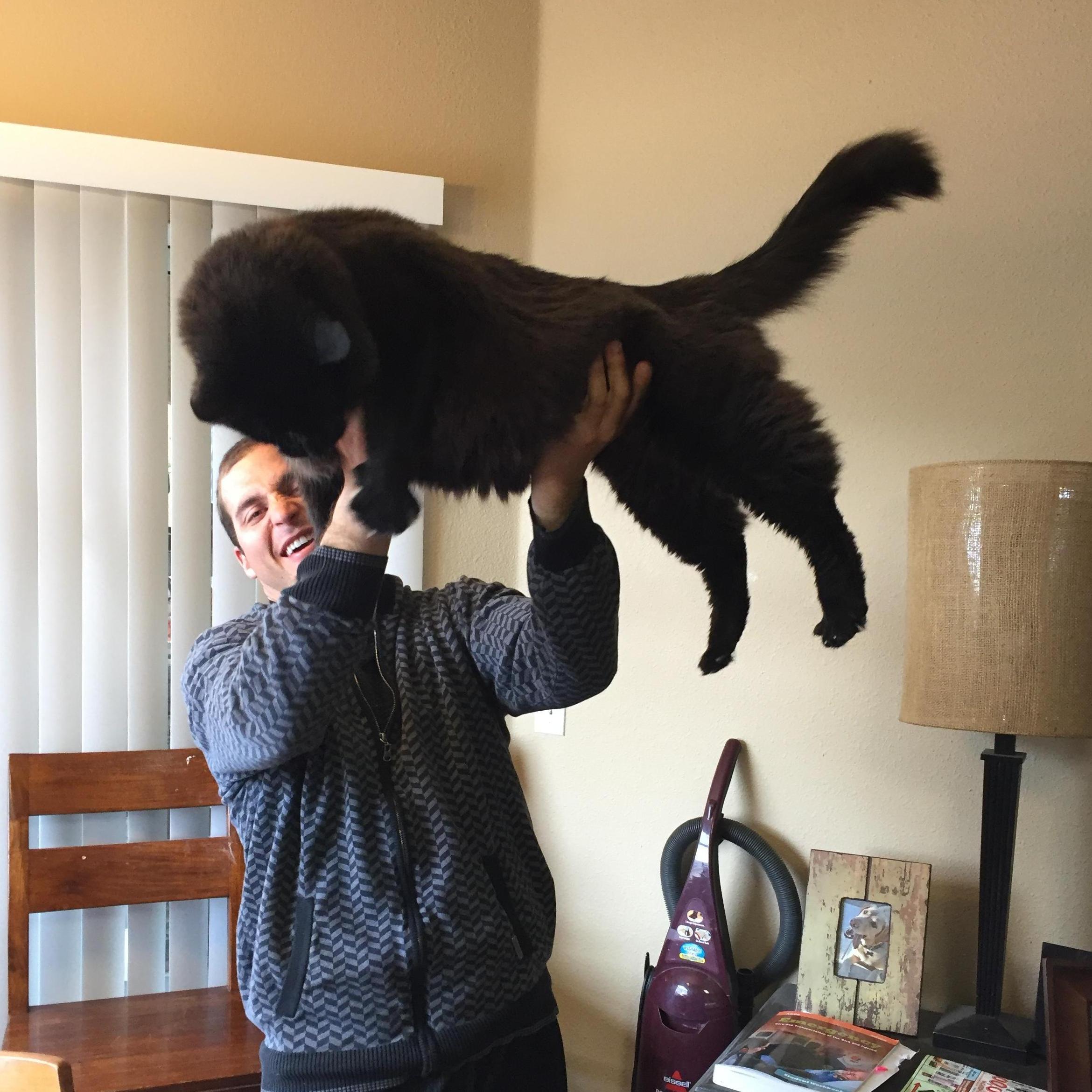 Cat Ful. Miss you, buddy!