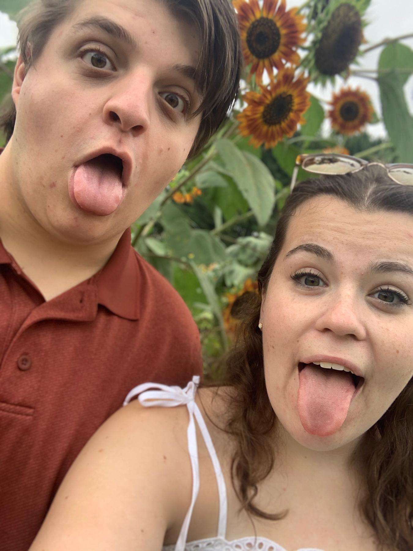 sunflower patch Sept 2020