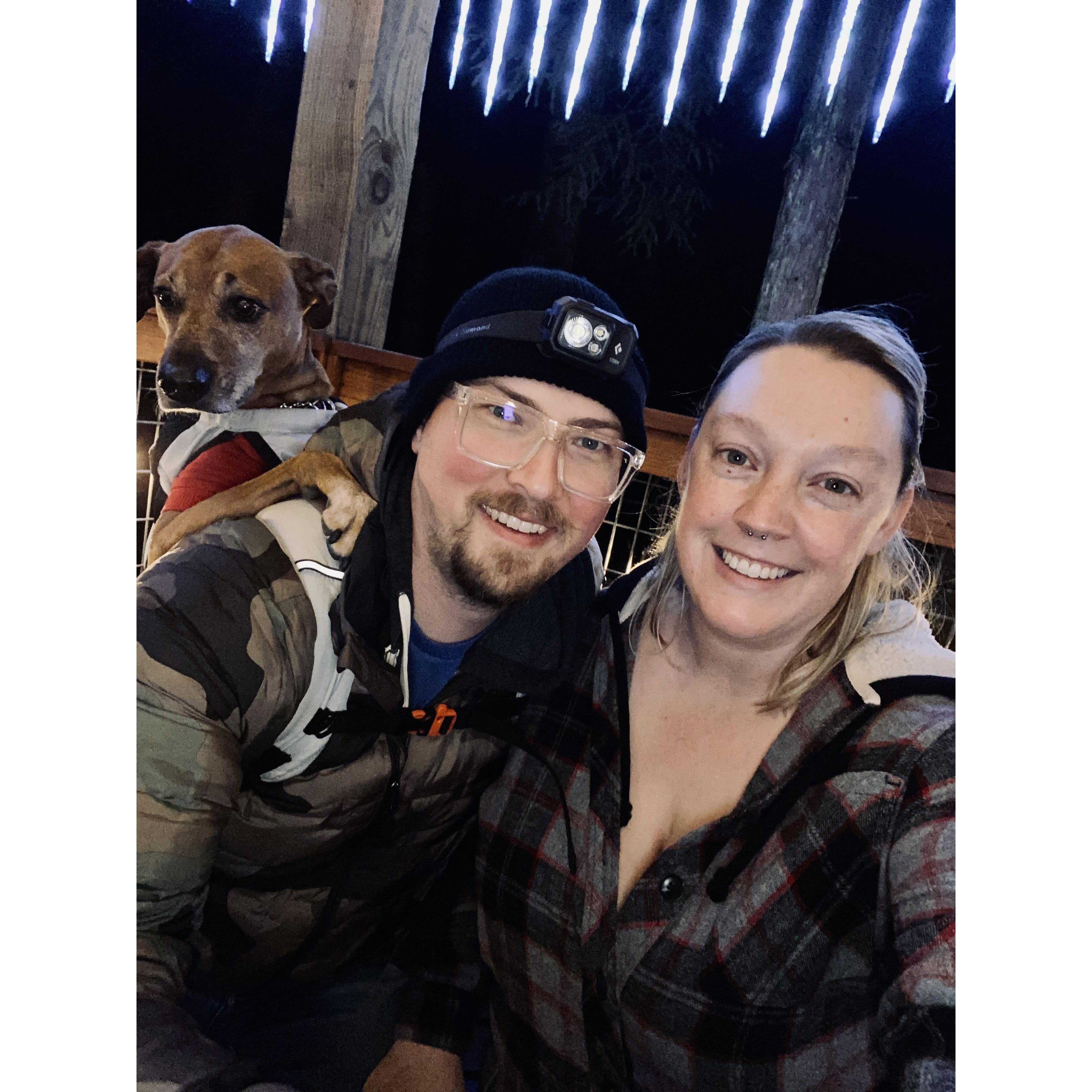 Christmas lights night at the Sequoia Park Zoo