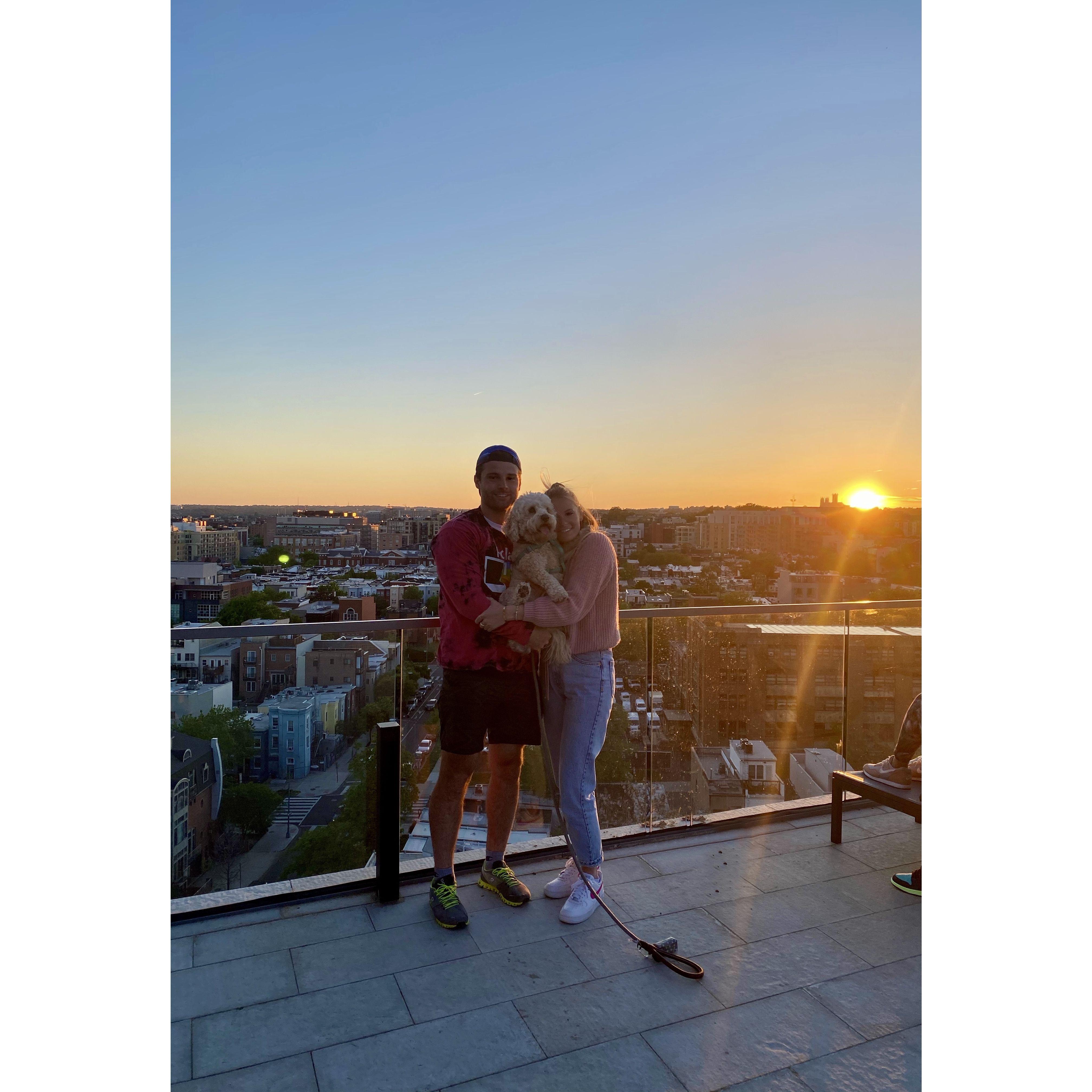 DC Rooftop Nights