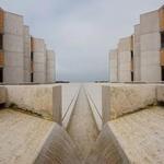 Salk Institute