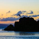 Black Rock Cliff Dive Ceremony