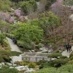 Japanese Friendship Garden and Museum