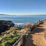 Torrey Pines State Natural Reserve