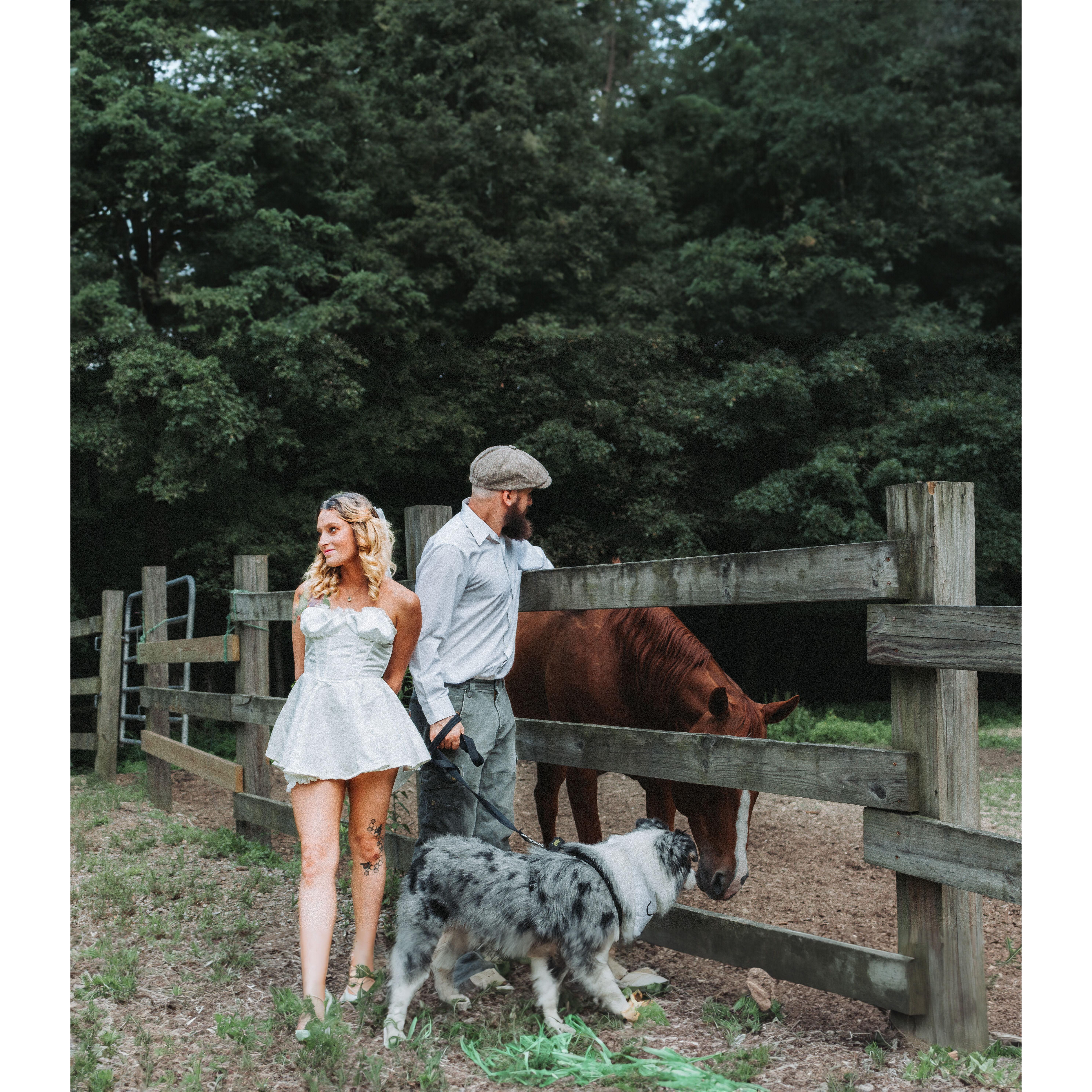 We had to do more photo's with our baby Abu!