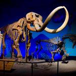 Milwaukee Public Museum