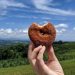 Carter Mountain Orchard