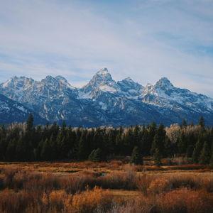 National Parks Pass