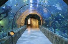 Audubon Aquarium of the Americas