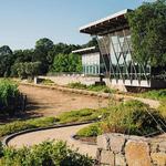 Hamel Family Wines