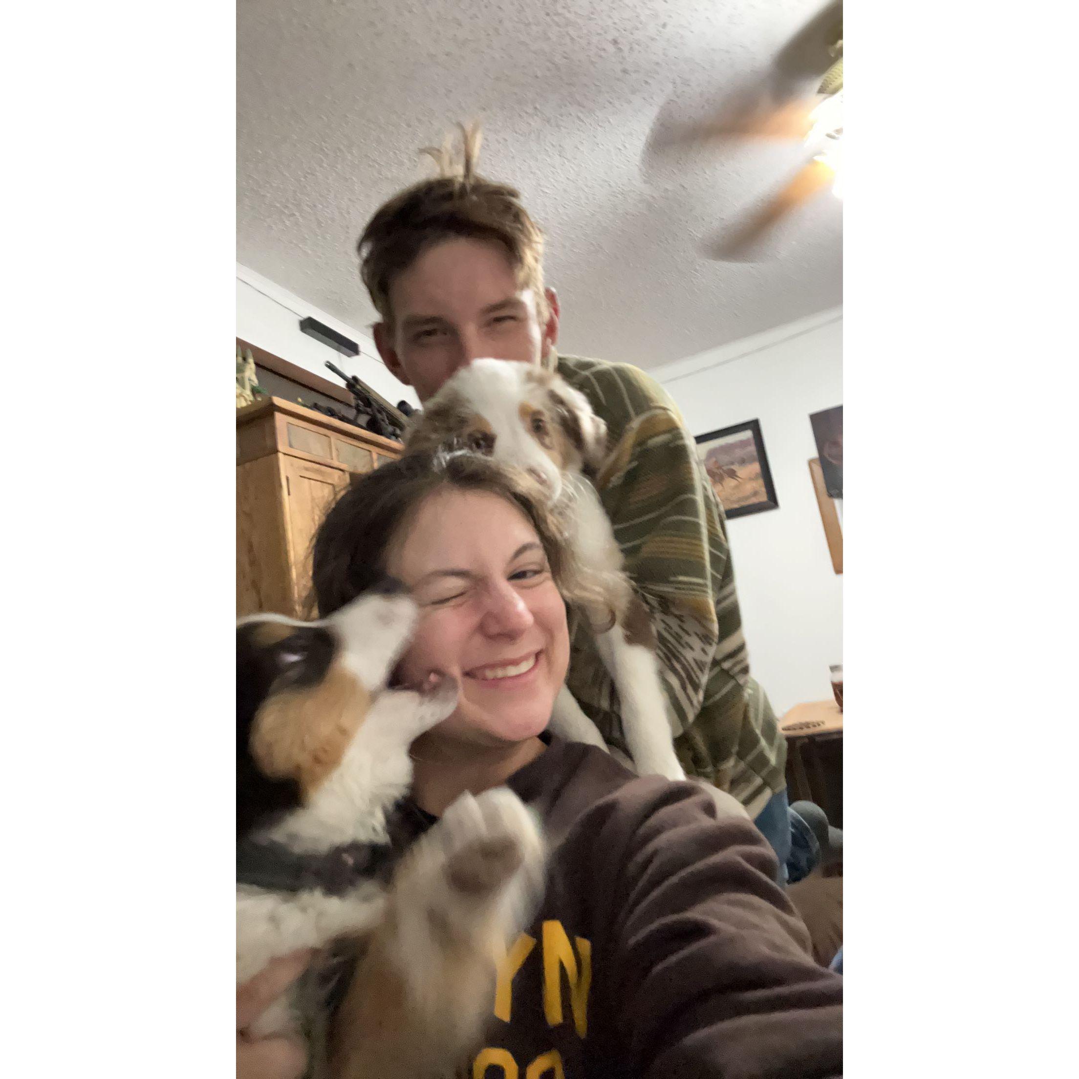 Right after getting Mando and Kylo, puppy chaos!