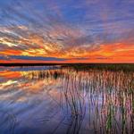 Everglades National Park