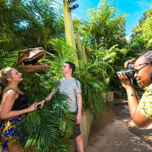 Professional Photography Session
