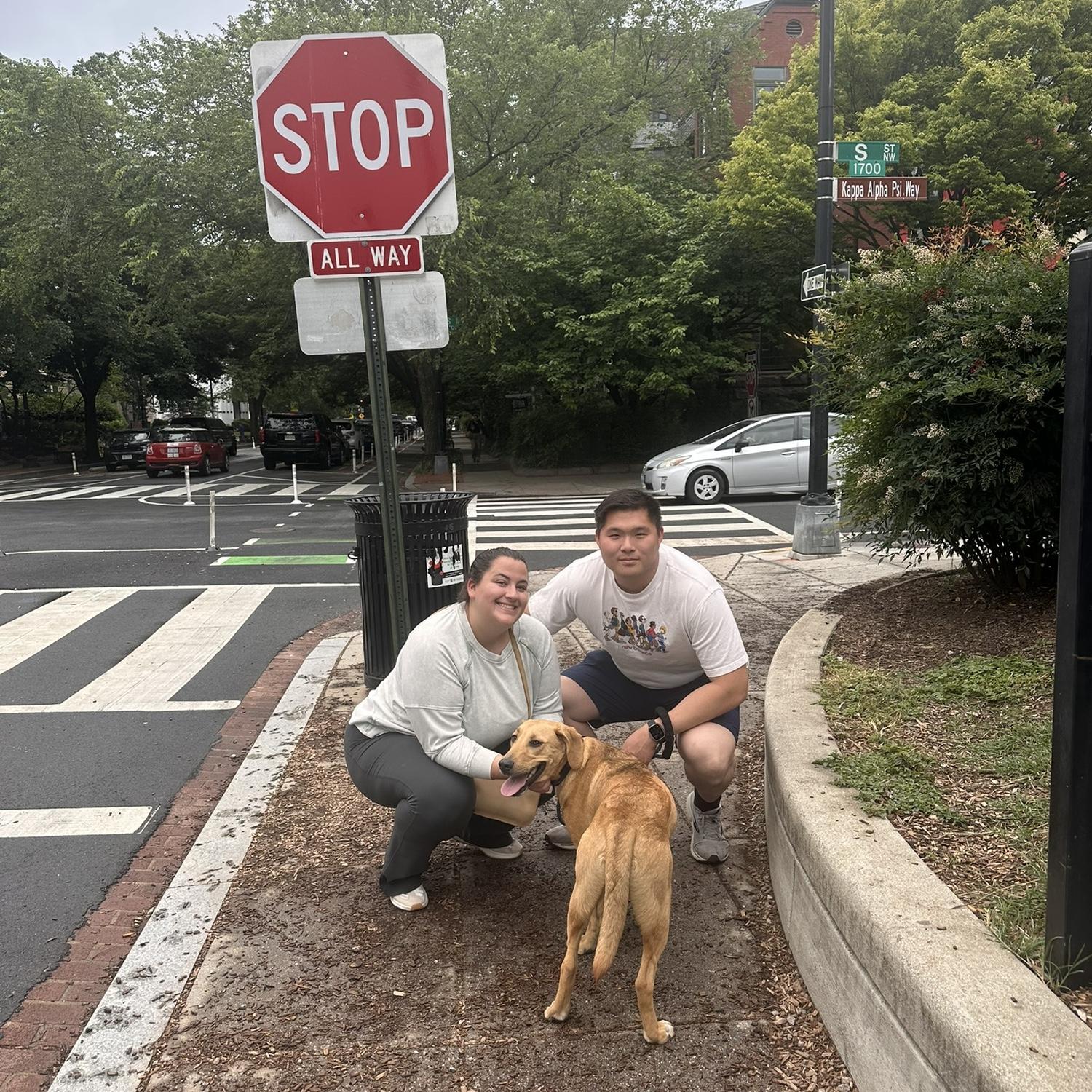 Mikey’s Gotcha Day