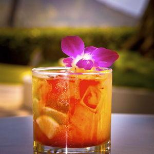 Honeymoon - Dinner and Drinks Fund