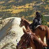 A & A Historical Horseback Riding