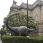 Carnegie Museum of Natural History