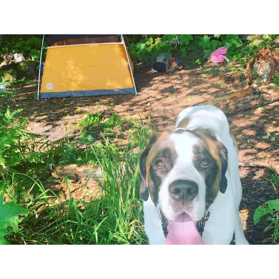 Greta on a camping trip