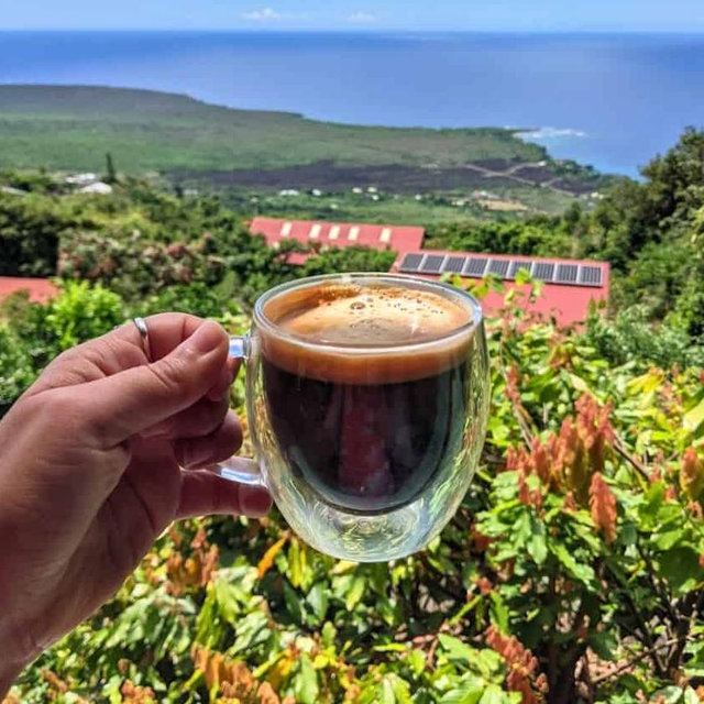 Kona Coffee Farm Tour