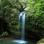 El Yunque National Forest