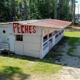 Peches Stand