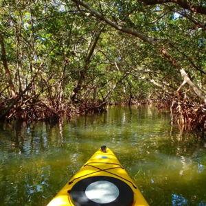 Kayak Tour for 2 in Key West